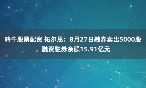 嗨牛股票配资 拓尔思：8月27日融券卖出5000股，融资融券余额15.91亿元